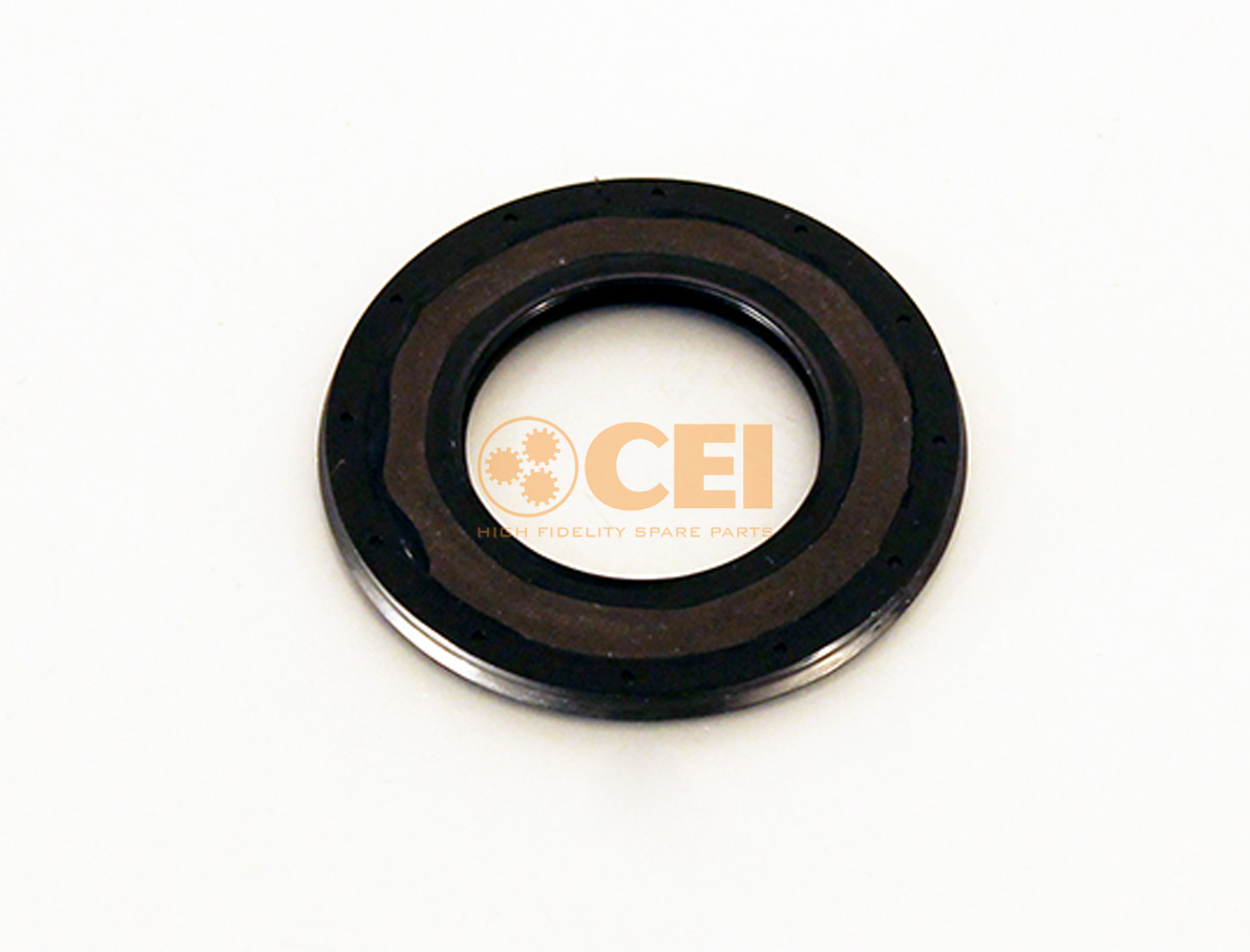 Paraolio CEI no. 139.659
