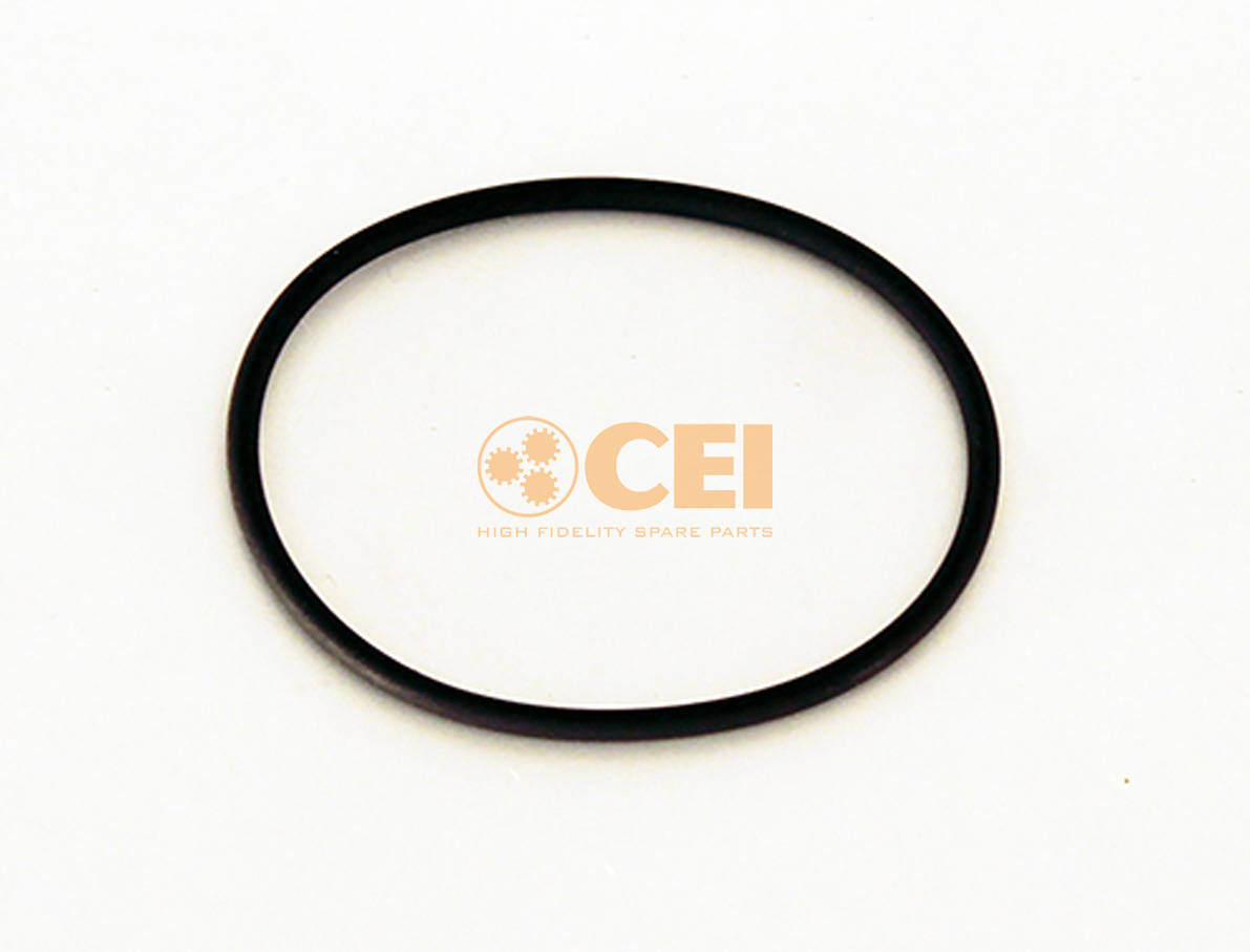 O-Ring CEI no. 139.669