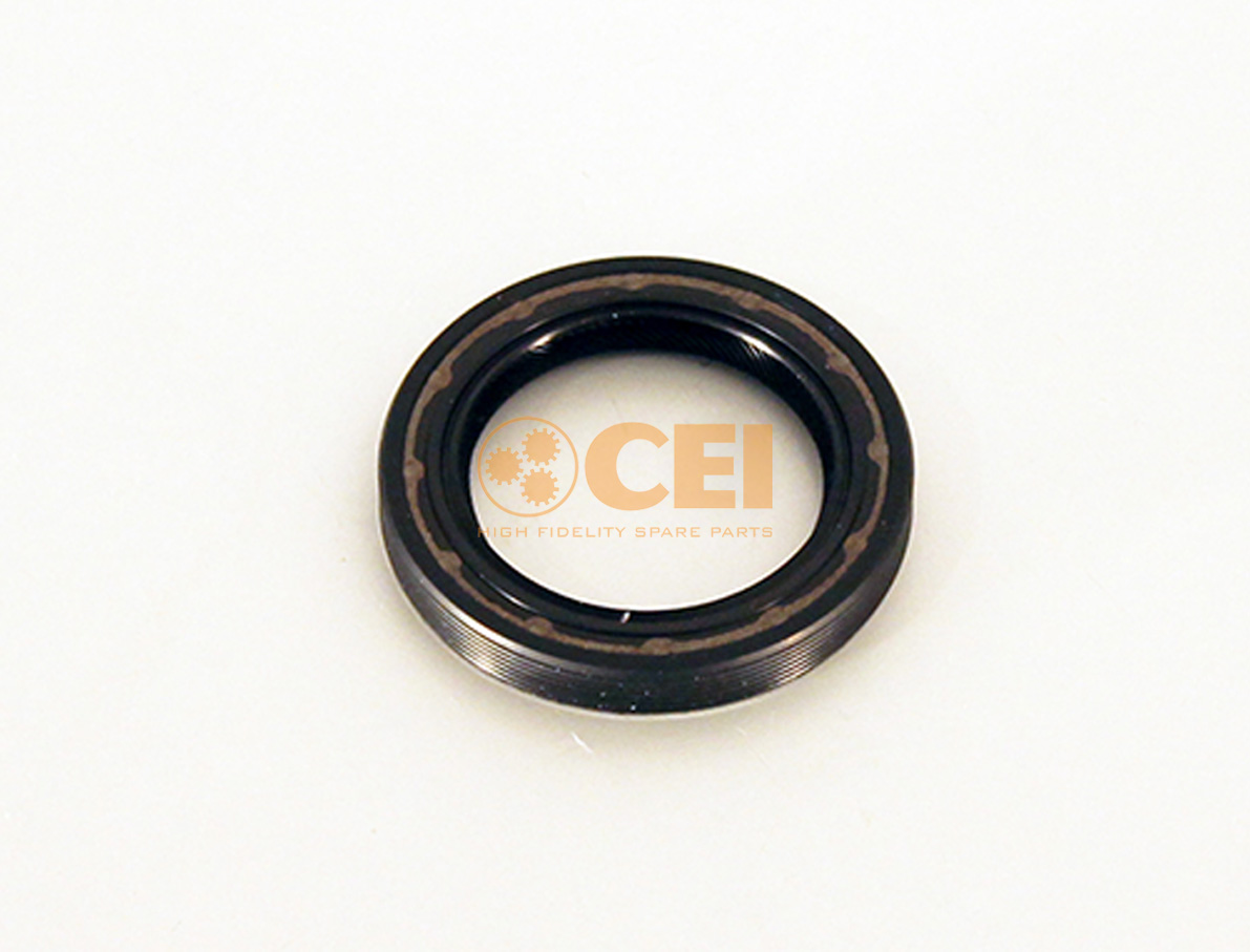 Oelabdichtung CEI no. 139.994