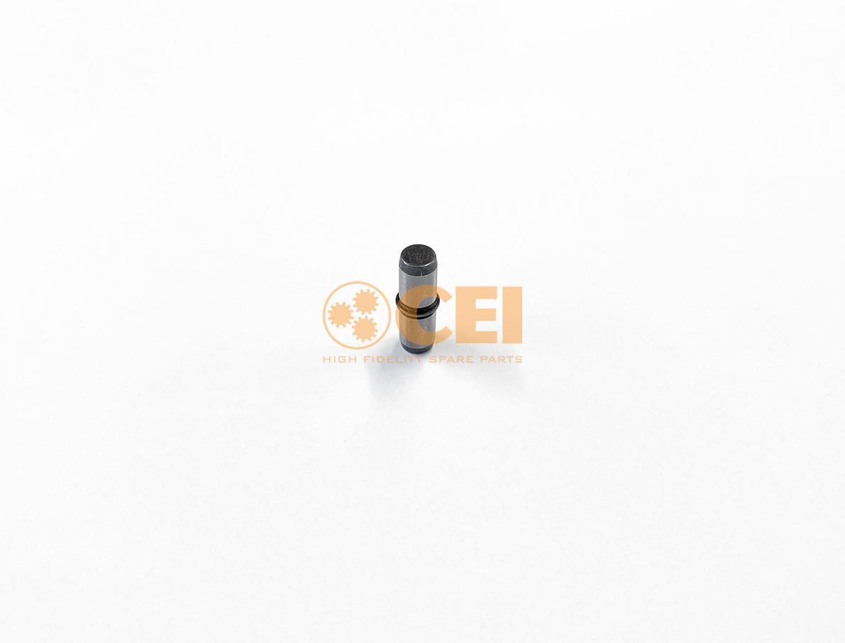 Bolzen mit Ring CEI no. 160.193