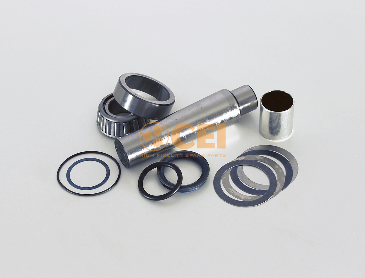 King pin set CEI no. 198.619