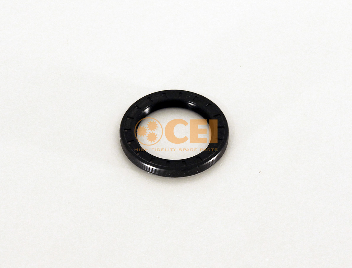 Paraolio CEI no. 239.013