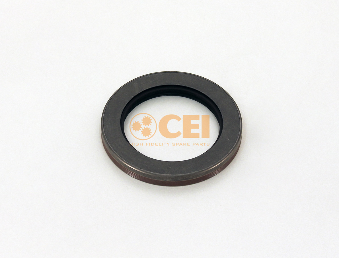 Paraolio CEI no. 239.172