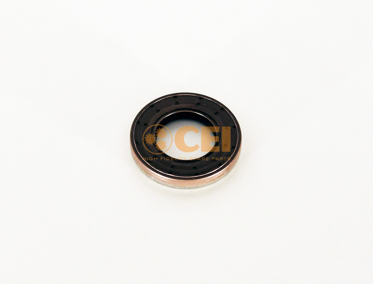 Paraolio CEI no. 239.222
