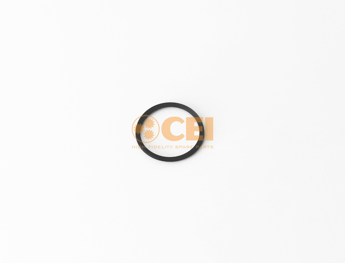 O-Ring CEI no. 239.292