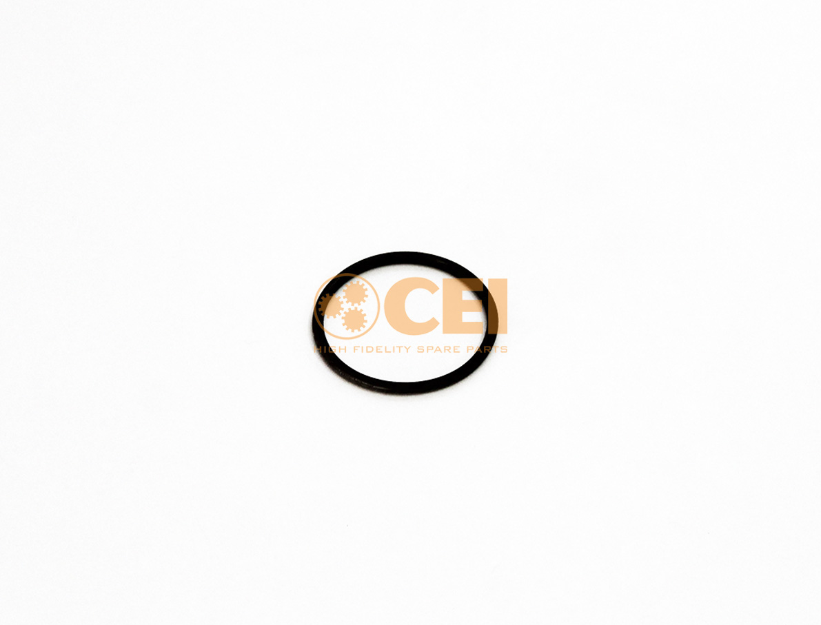O-Ring CEI no. 239.294