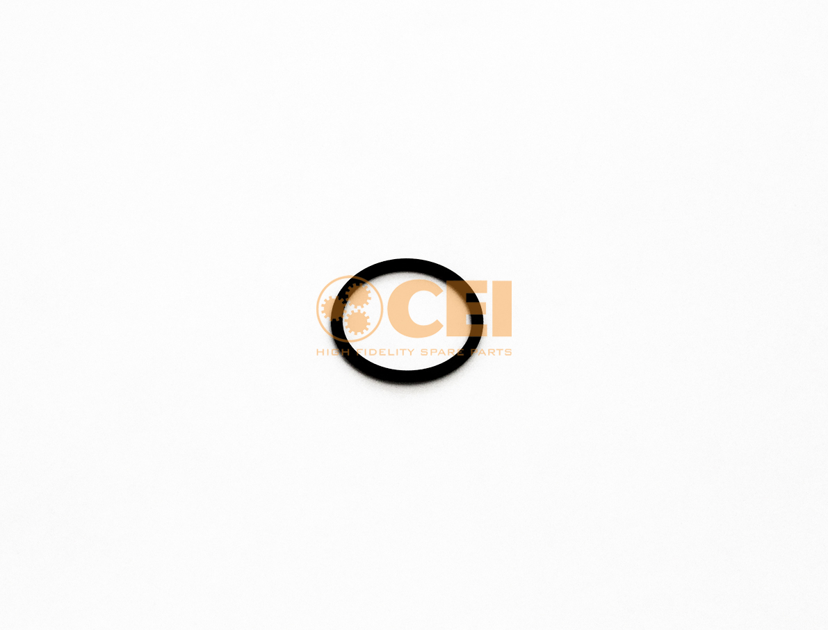 O-Ring CEI no. 239.307