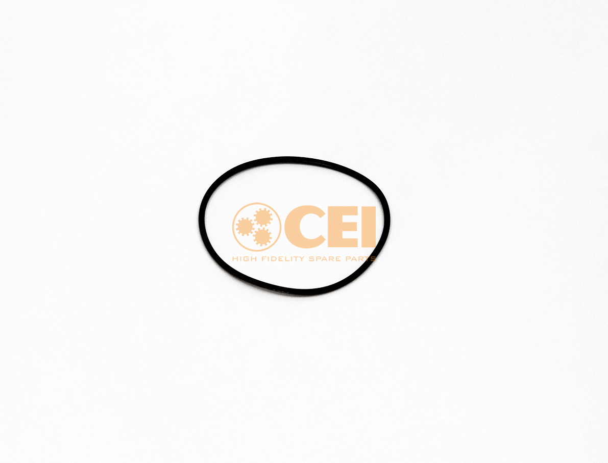 O-Ring CEI no. 239.382