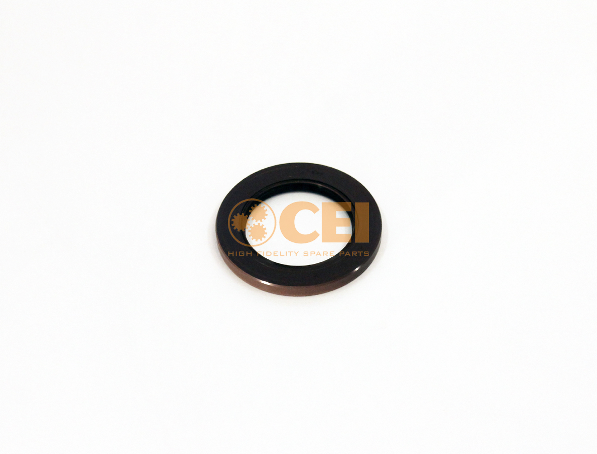 Paraolio CEI no. 239.386
