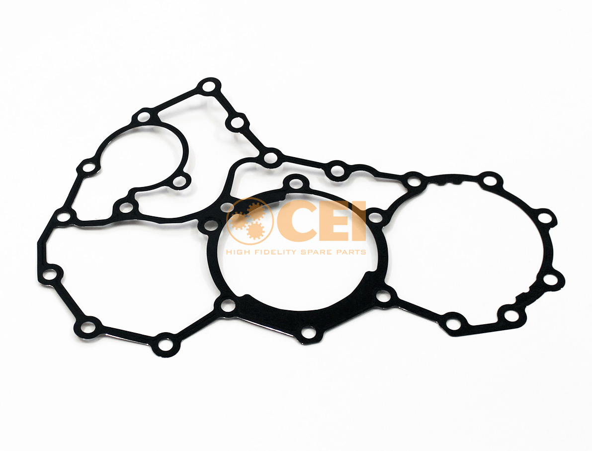 Gasket CEI no. 239.456
