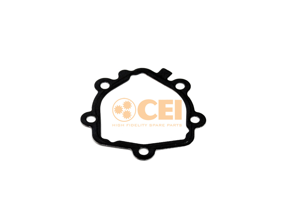 Dichtung CEI no. 239.484