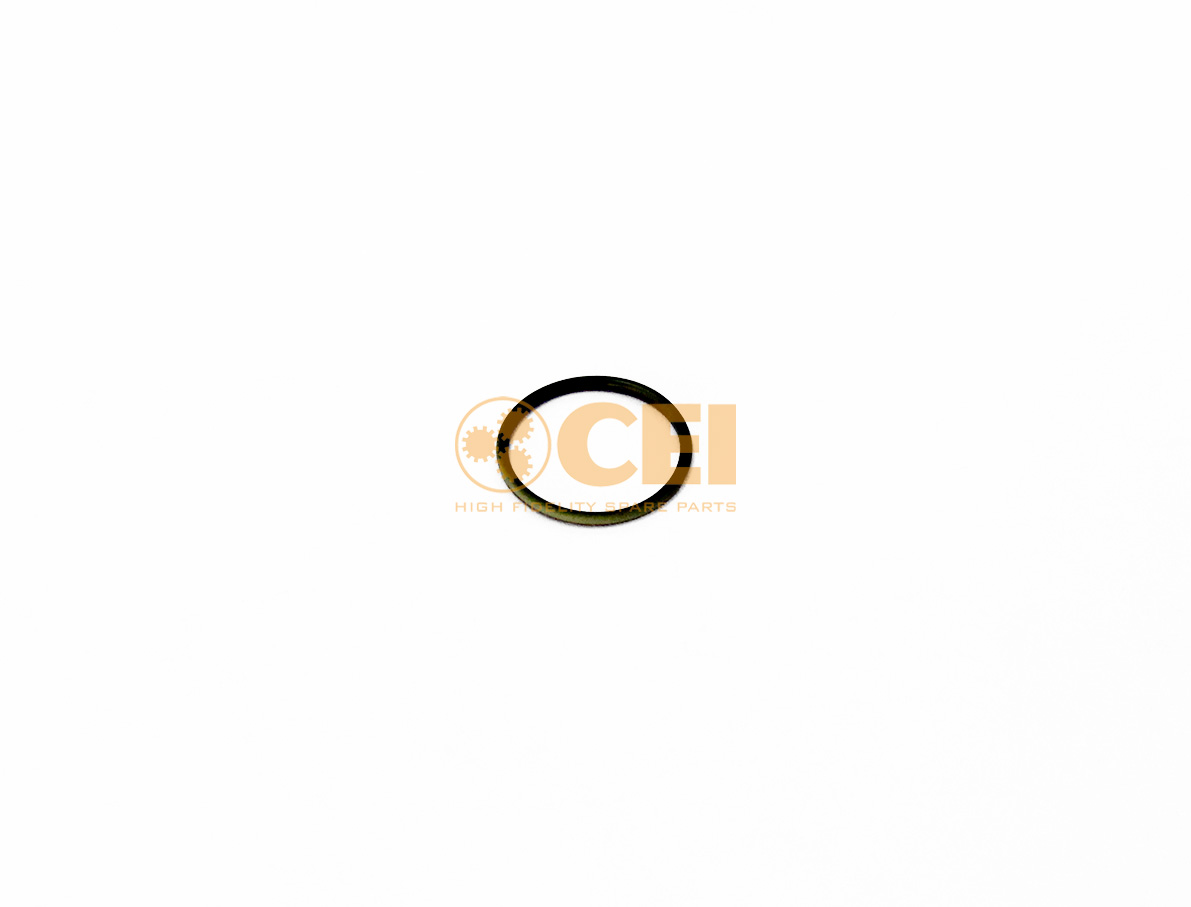 O-Ring CEI no. 239.526