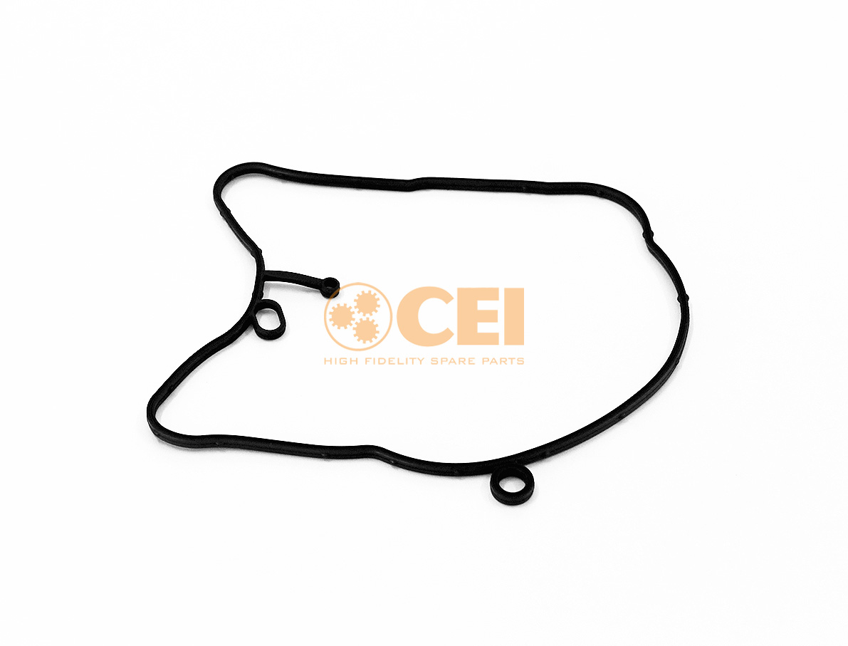 Gasket CEI no. 239.538