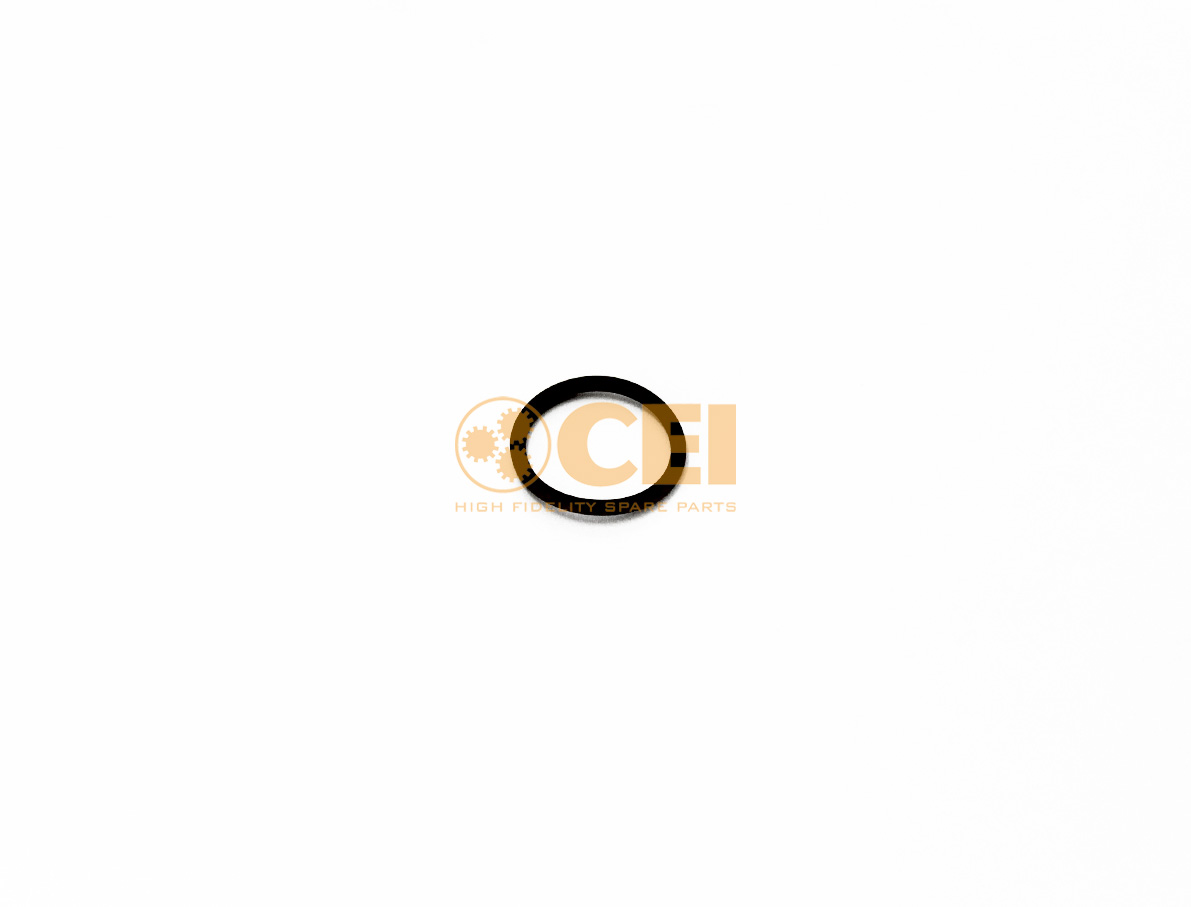 O-Ring CEI no. 239.542