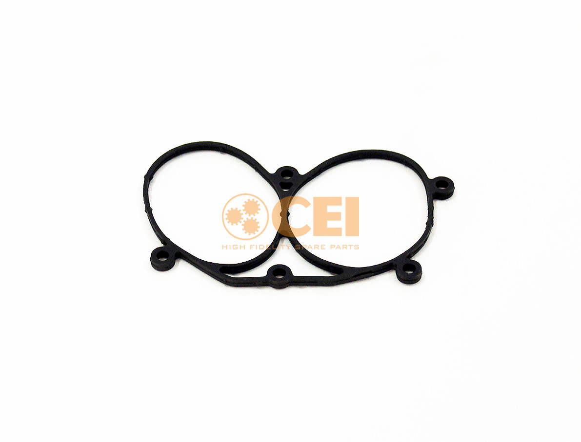 Gasket CEI no. 239.551