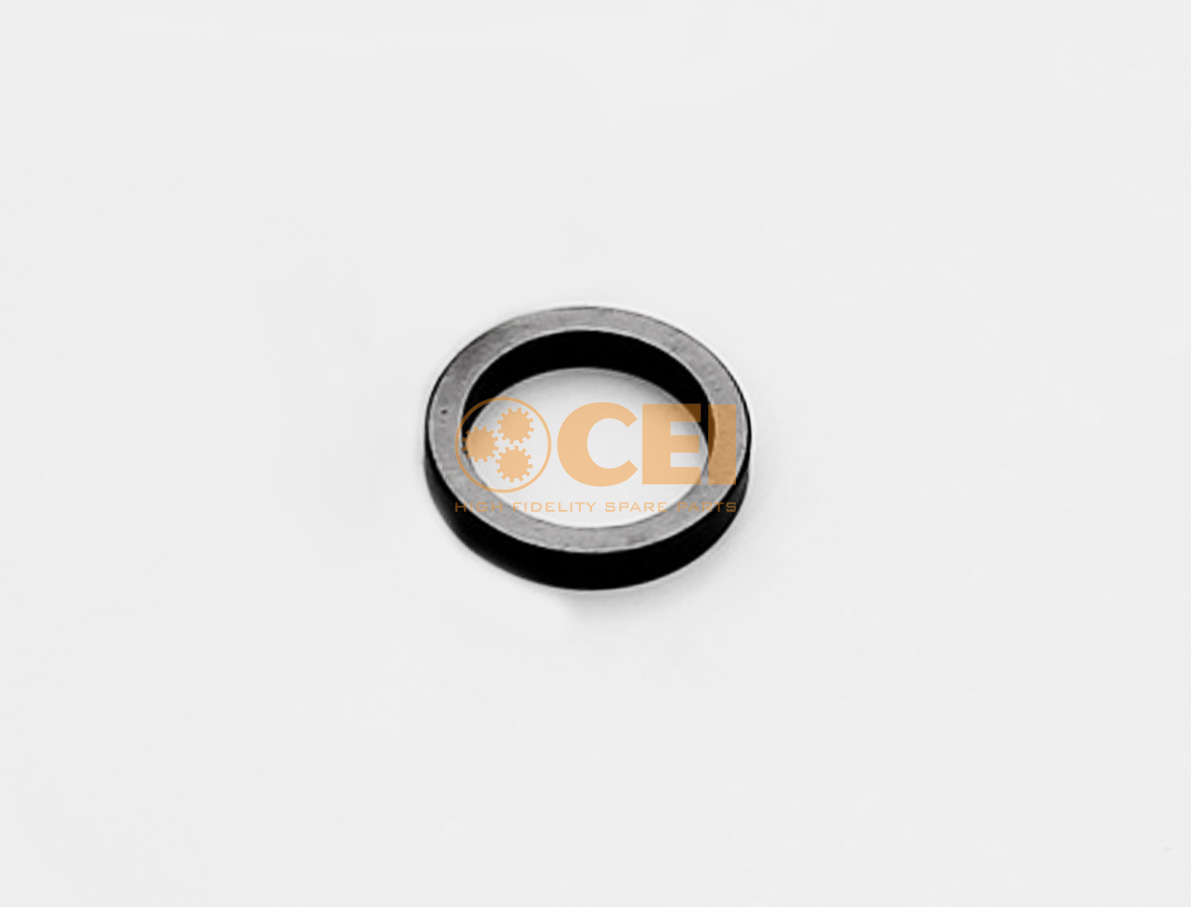 Rasamento CEI no. 269.010