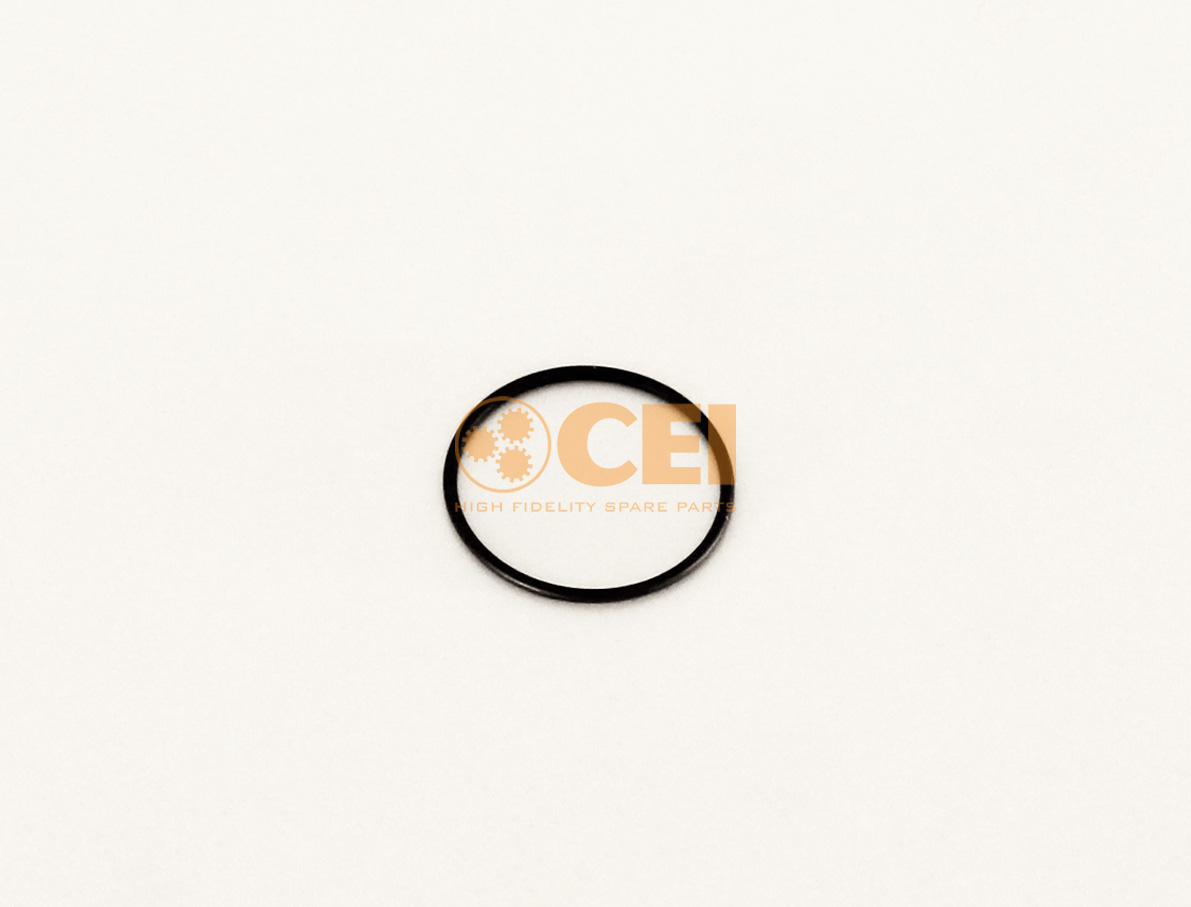 O-Ring CEI no. 269.093