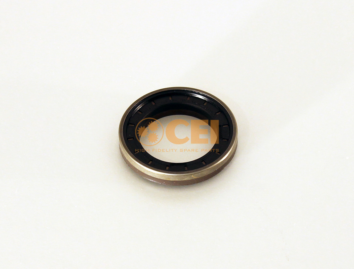 Paraolio CEI no. 269.891