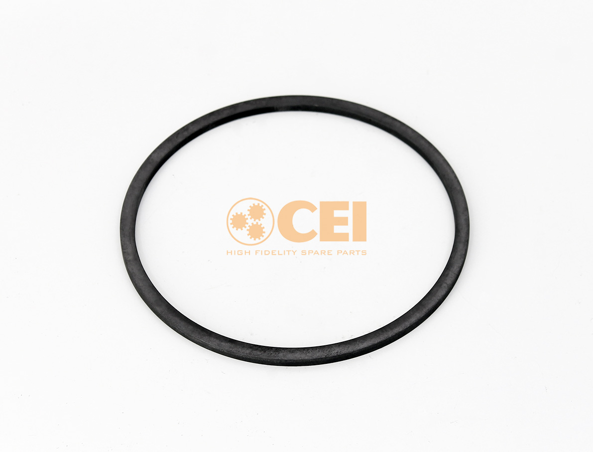 Anello CEI no. 269.984