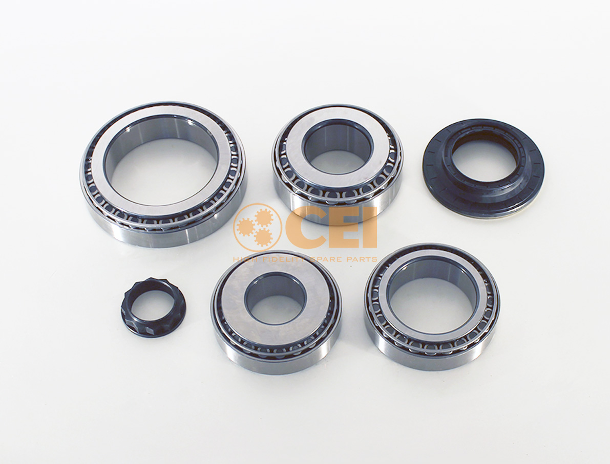 Bearings kit CEI Код 298.618