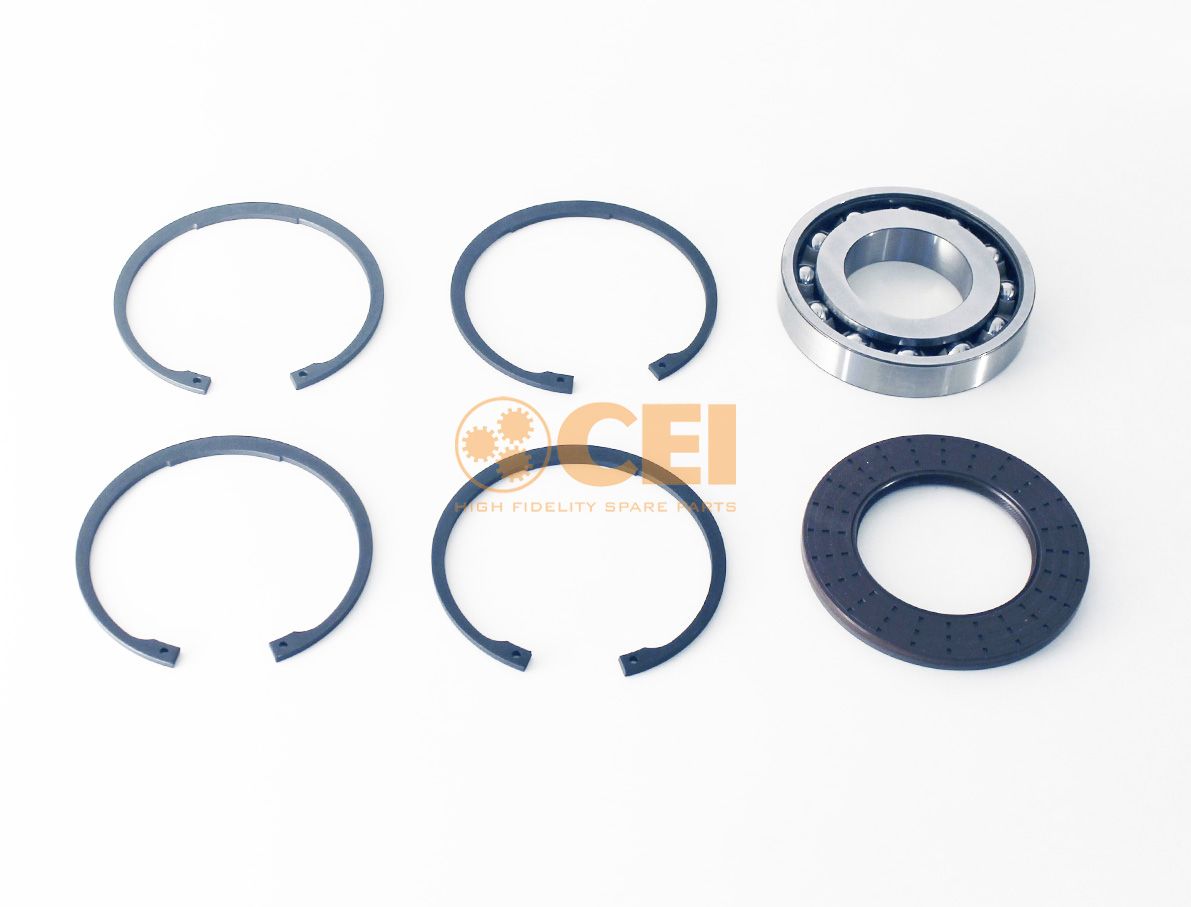 kit bearing/oil seal/seeger CEI no. 298.753